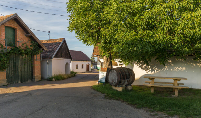 Maulavern_Kellergasse,_Zellerndorf-6339