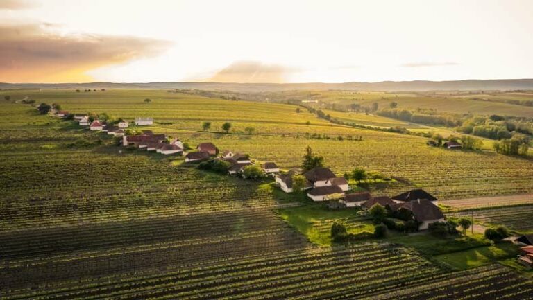 kellergasse Maulavern in zellerndorf