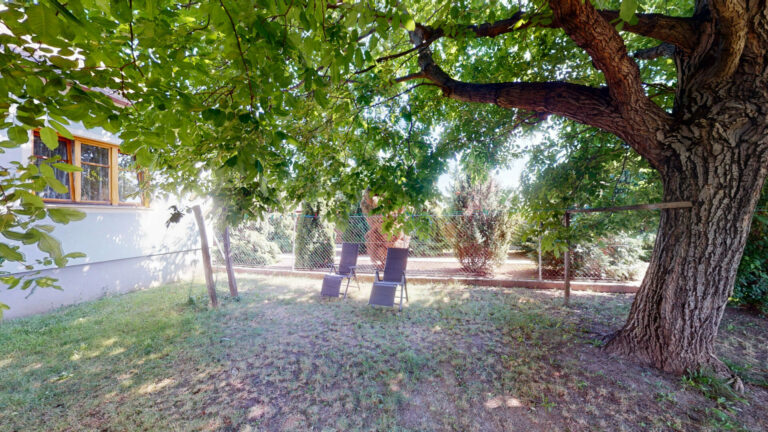 Weingut-Zimmervermietung-Kahrer-08232022_171125